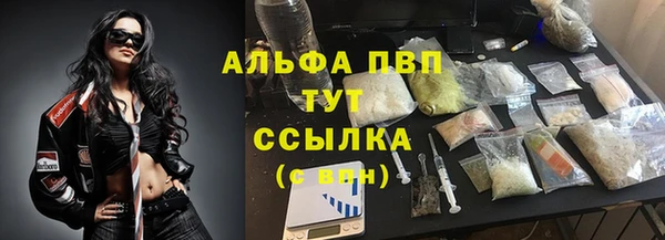 стаф Белокуриха