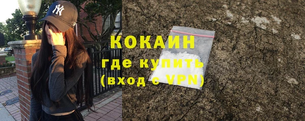 стаф Белокуриха