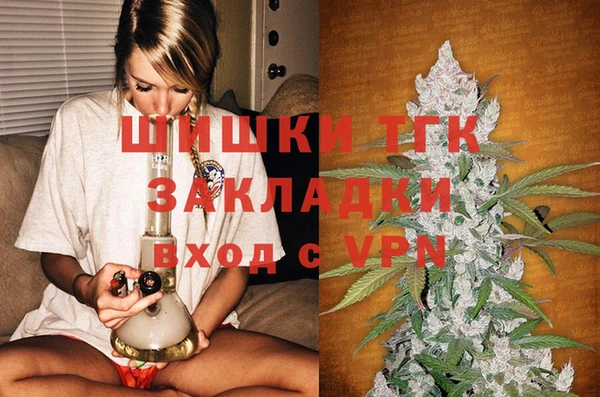 стаф Белокуриха