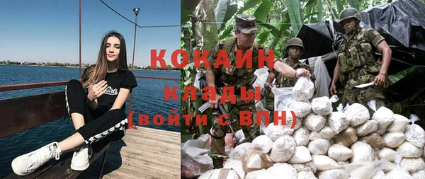 стаф Белокуриха