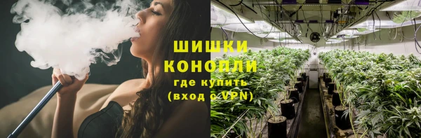 амф Белоозёрский