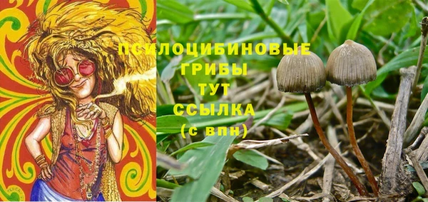 амф Белоозёрский