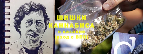 стаф Белокуриха