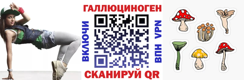 Галлюциногенные грибы Psilocybe  наркошоп  Брюховецкая 